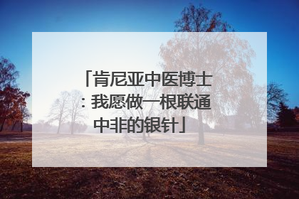 肯尼亚中医博士：我愿做一根联通中非的银针